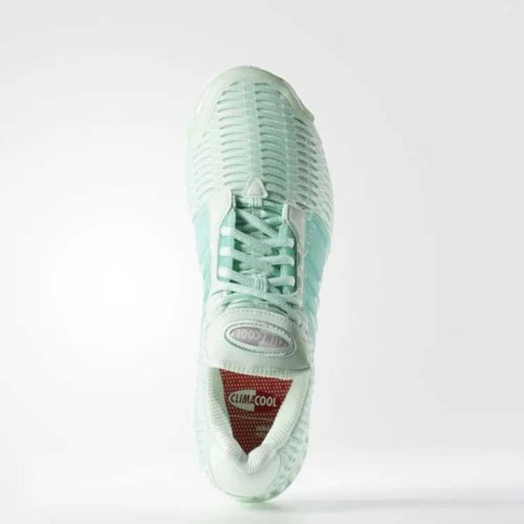 Krossovki-Adidas-ClimaCool-1-Frog-Green-2
