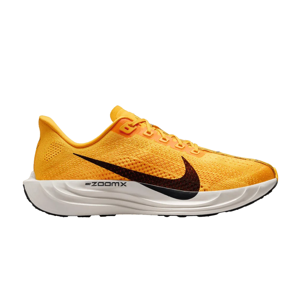 Krossovki-Nike-Pegasus-Plus-LV8-Modern-Mayfly-Pack