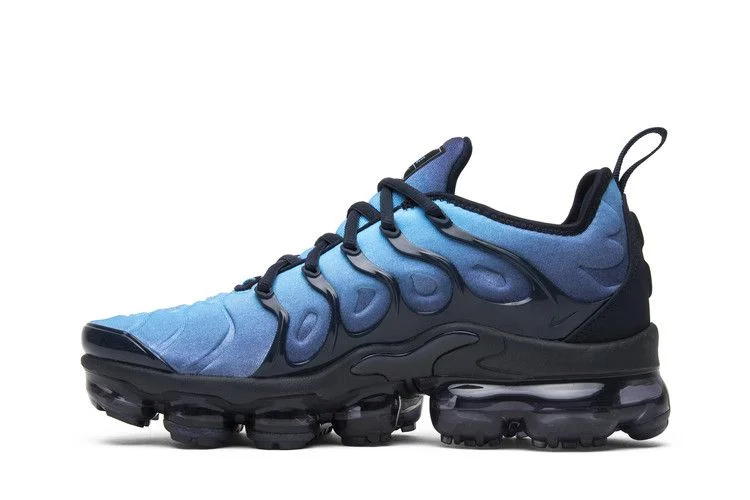Кроссовки Nike Air VaporMax Plus 'Photo Blue'