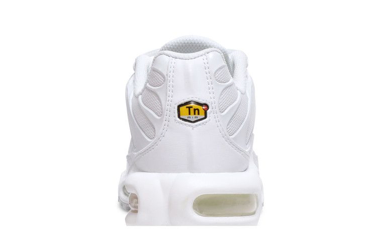 Кроссовки Nike Wmns Air Max Plus 'Triple White'