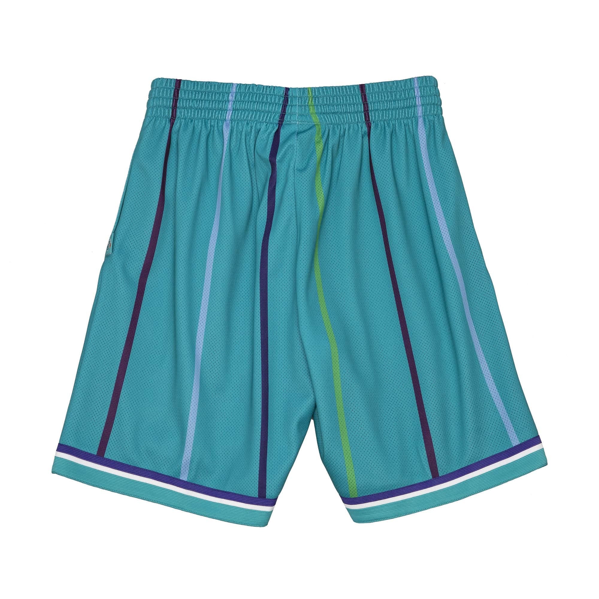 Спортивные шорты Mitchell & Ness Big Face 2.0 Charlotte Hornets Shorts