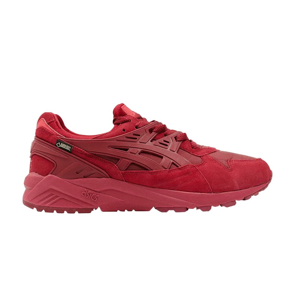 Кроссовки Asics Gel Kayano Trainer