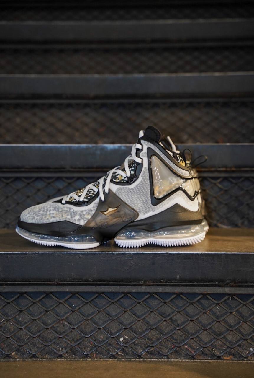 Кроссовки Nike LeBron 19 EP Leopard