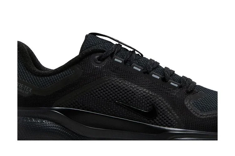Krossovki-Nike-Wmns-Air-Zoom-Pegasus-41-GORE-TEX-Black-Anthracite-1