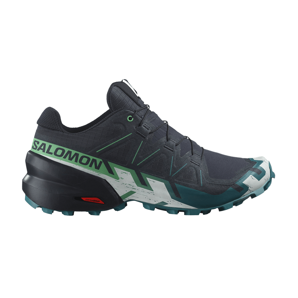 Кроссовки Salomon Speedcross 6 GORE-TEX 'Carbon Tahitian Tide'