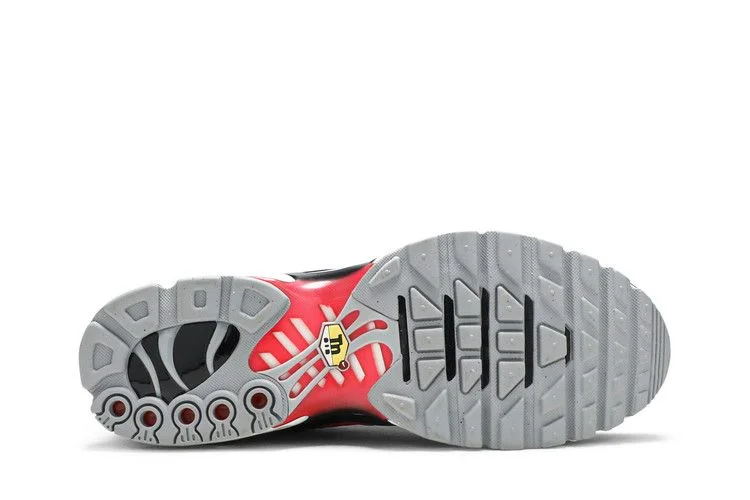 Кроссовки Nike Air Max Plus 'Hot Lava'