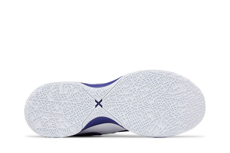 Кроссовки Nike Zoom LeBron NXXT Gen TB Promo 'Team Purple'