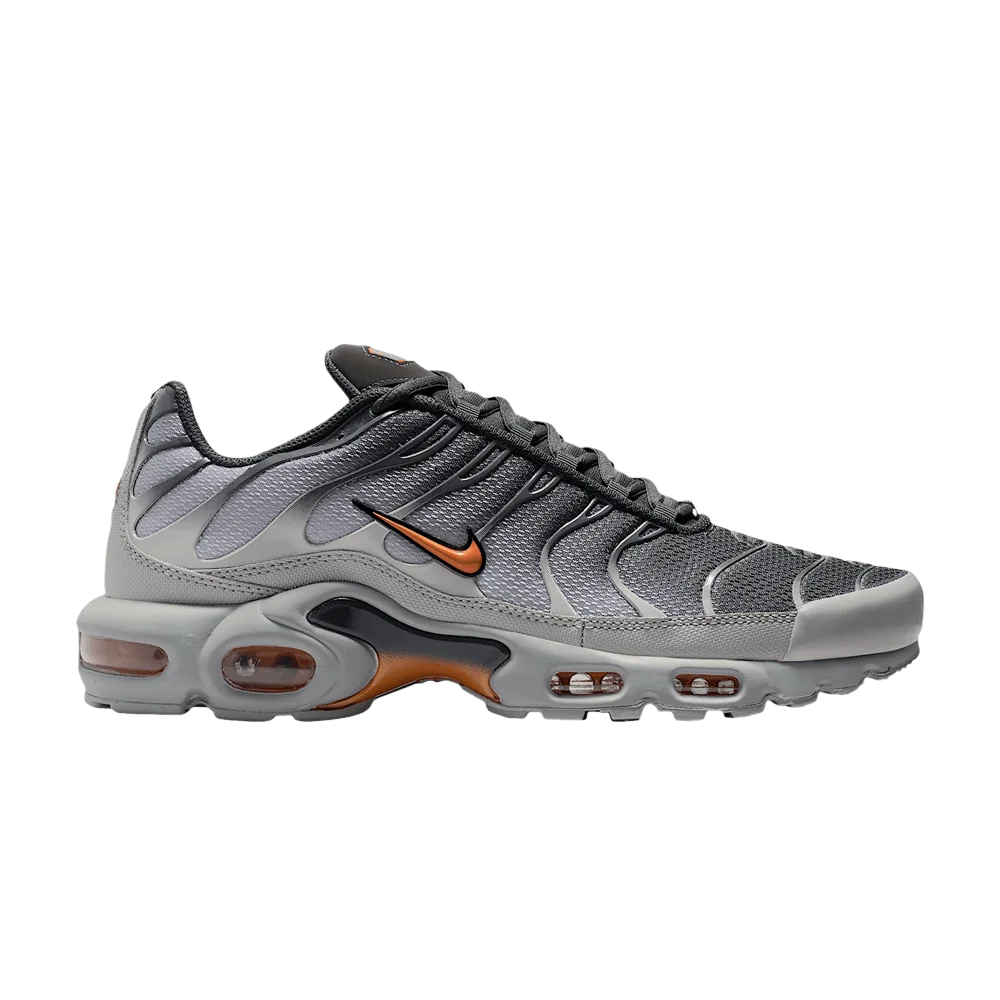 Krossovki-Nike-Air-Max-Plus-Light-Smoke-Grey