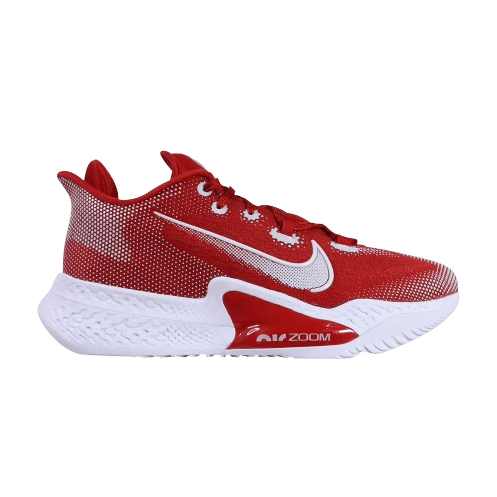 Krossovki-Nike-Air-Zoom-BB-NXT-TB-Gym-Red