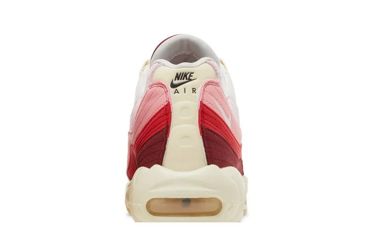Кроссовки Nike Air Max 95 'Anatomy Of Air'
