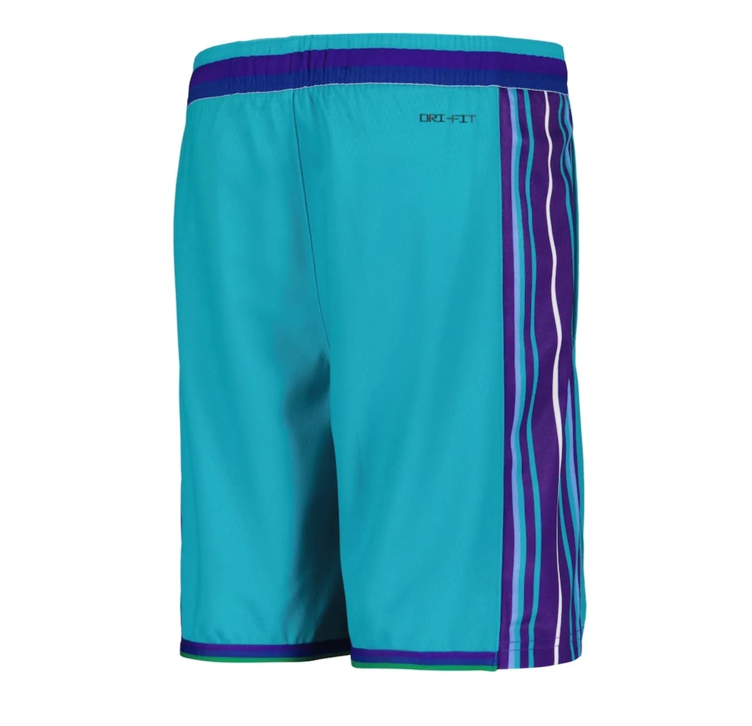 Спортивные шорты Nike Charlotte Hornets 2024 Classic Edition Swingman Youth NBA Shorts