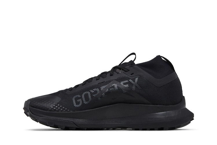 Кроссовки Nike React Pegasus Trail 4 GORE-TEX 'Black Anthracite'