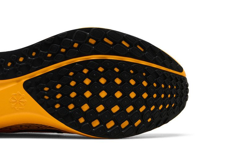 Кроссовки Nike Air Zoom Pegasus 41 LV8 'Modern Mayfly Pack'