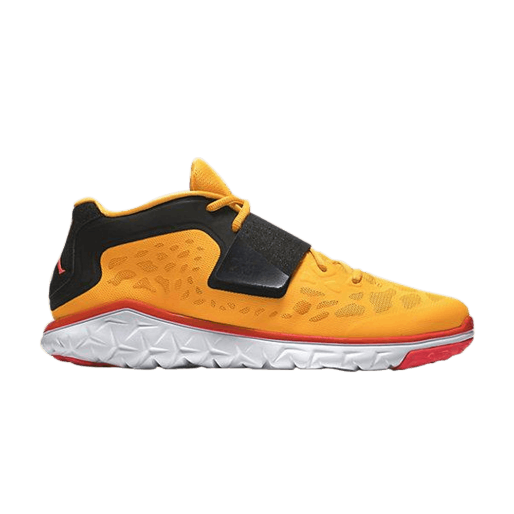 Кроссовки Air Jordan Flight Flex Trainer 2