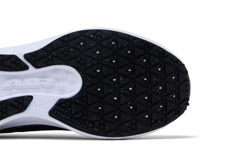 Кроссовки Nike Air Winflo 11 GORE-TEX 'Anthracite'