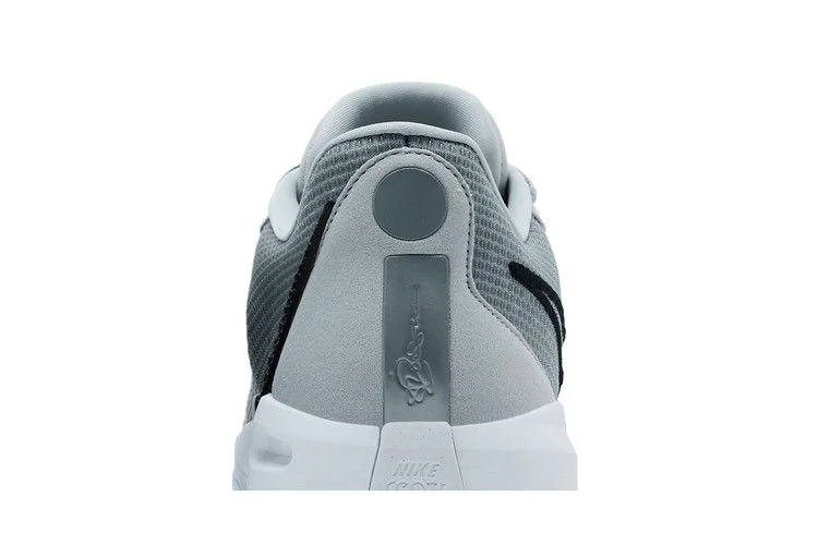 Кроссовки Nike Wmns Sabrina 1 TB Promo 'Wolf Grey'