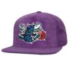 Mitchell-Ness-All-Directions-Snapback-HWC-Charlotte-Hornets-Hat-100x100