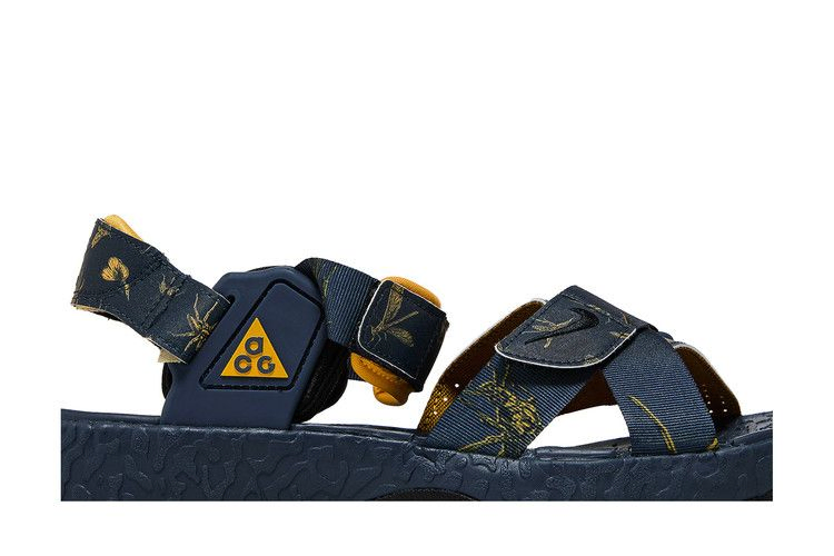 Nike ACG Air Deschutz+ SE 'Thunder Blue'