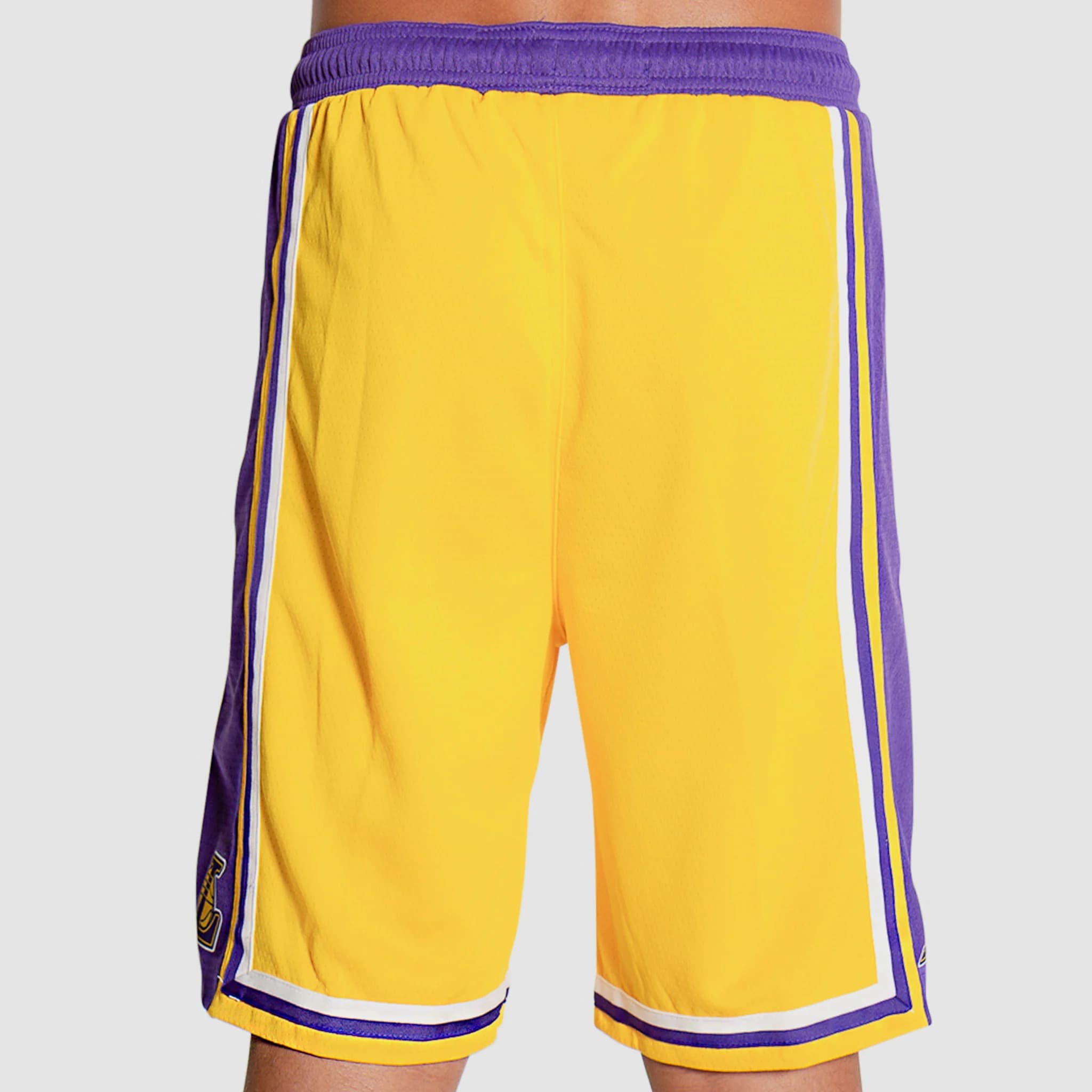 Спортивные шорты Nike Los Angeles Lakers 2024 Icon Edition Swingman Youth NBA Shorts