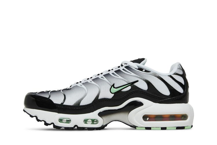 Кроссовки Nike Air Max Plus GS 'White Reflect Silver Fresh Mint'