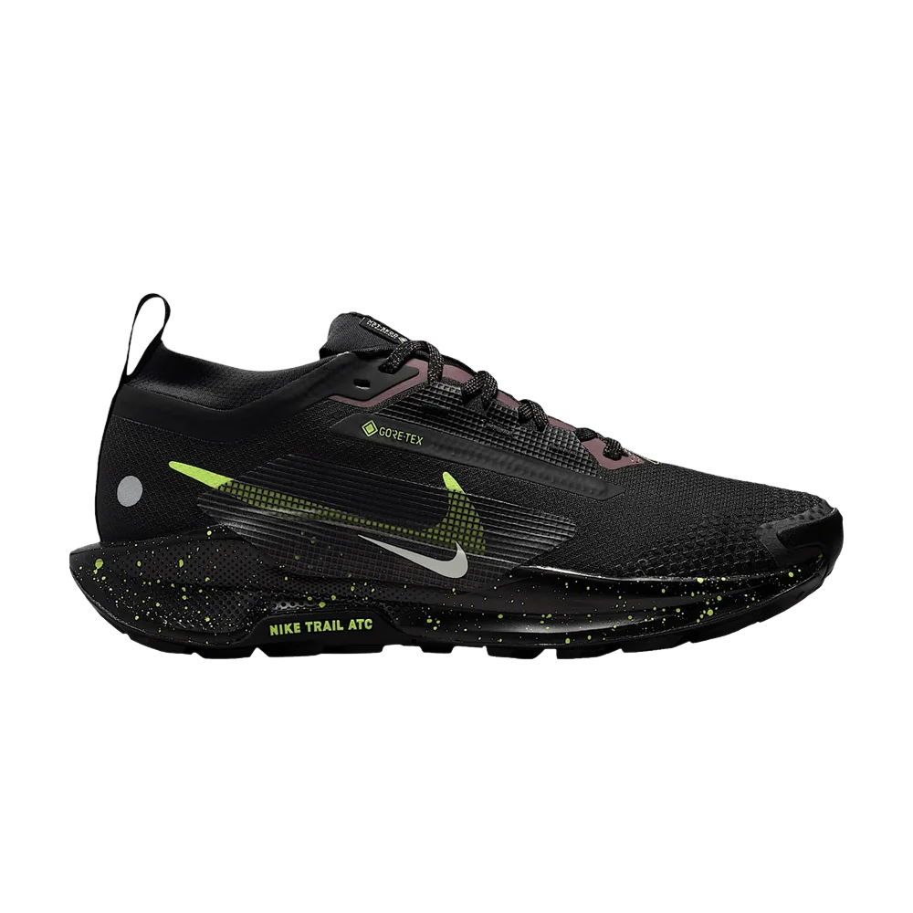 Кроссовки Nike Pegasus Trail 5 GORE-TEX 'Black Phantom'