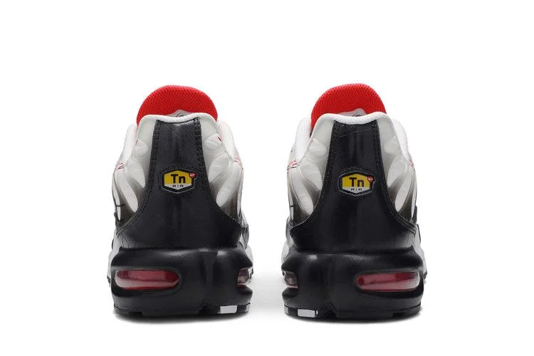 Кроссовки Nike Air Max Plus 'Script Swoosh'
