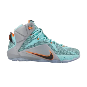 lebron-12-nsrl-684593-301-300x300