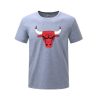 futbolka-bulls-23-jordan-100x100