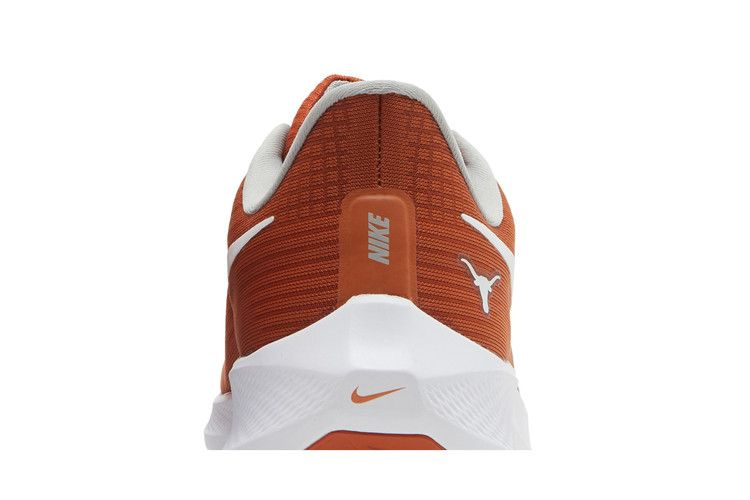 Кроссовки Nike Air Zoom Pegasus 39 'Texas'
