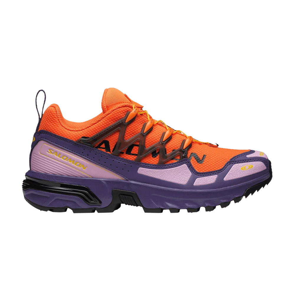 Кроссовки Salomon ACS+ OG 'Heritage Pack - Purple Reign'