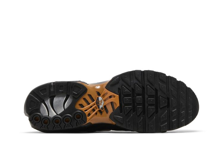 Кроссовки Nike Air Max Plus 'Dark Obsidian Monarch'