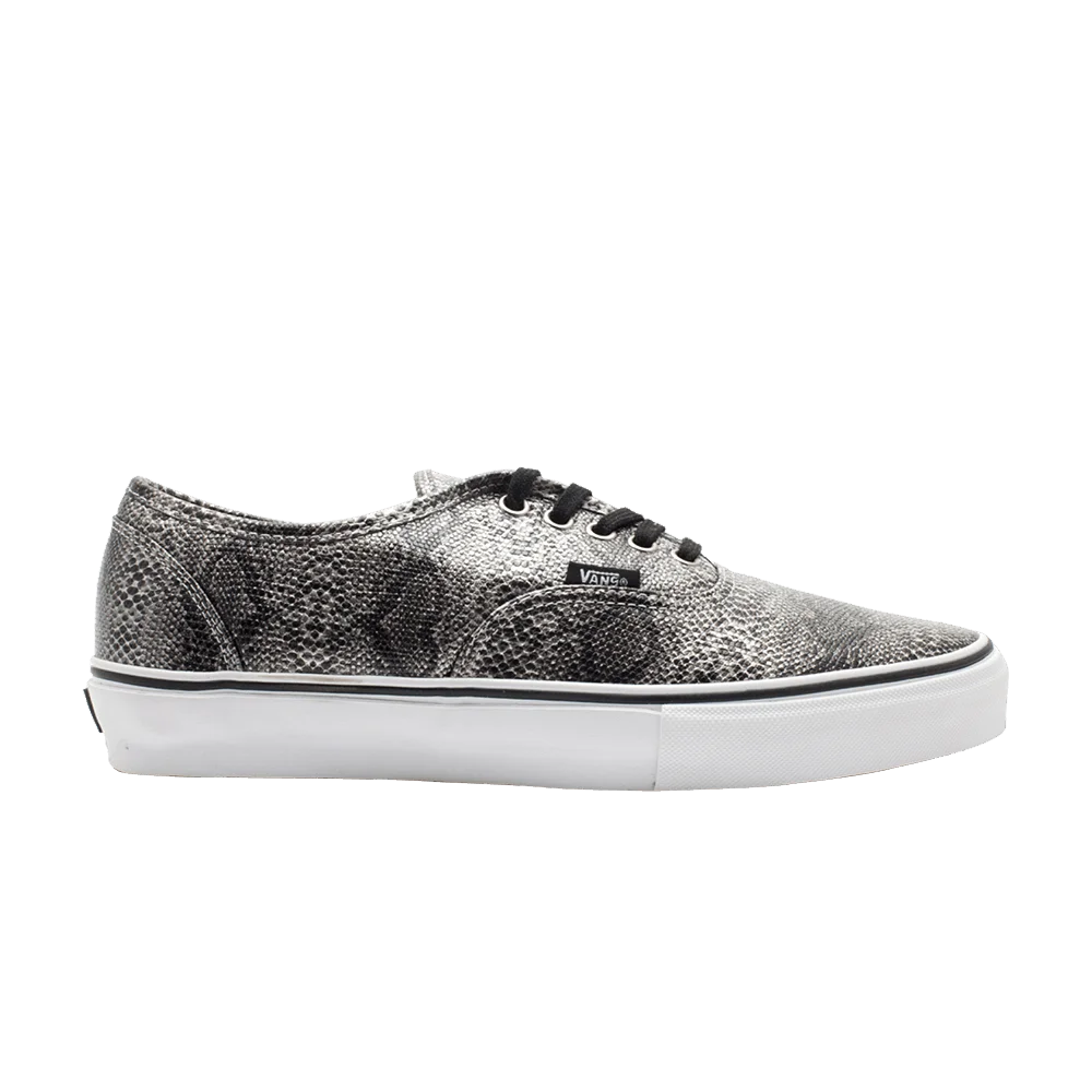 Krossovki-Authentic-Snakeskin