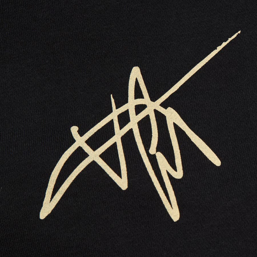 Mitchell-Ness-Vince-Carter-Black-Gold-Hall-of-Fame-Premium-Fleece-Pullover-Hoodie-3