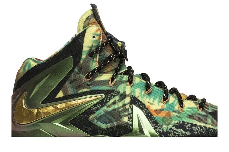 Krossovki-Nike-LeBron-10-Reverse-Championship-Pack-Sample-1