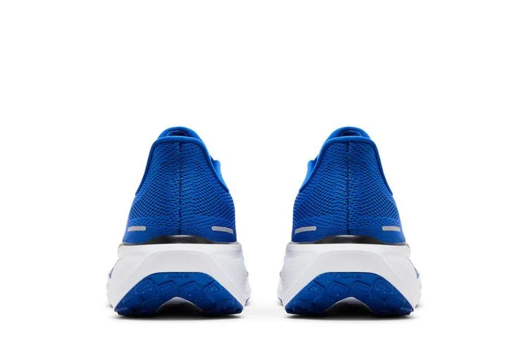Кроссовки Nike Air Zoom Pegasus 41 'Duke'