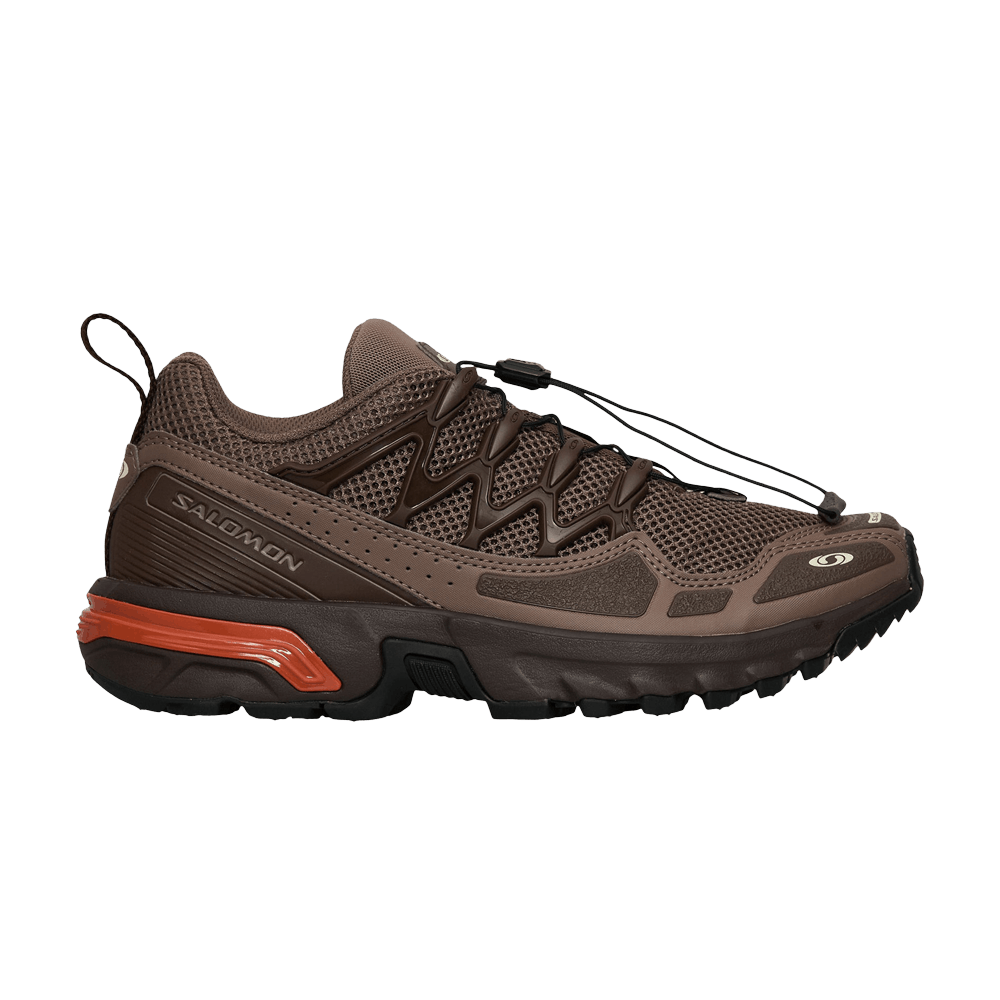 Кроссовки Salomon ACS+ OG 'Autumn'