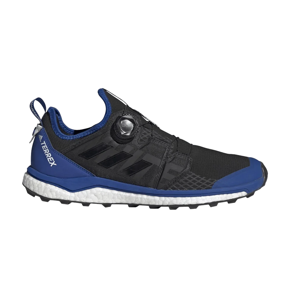Krossovki-White-Mountaineering-x-adidas-Terrex-Agravic-Boa-Black-Royal