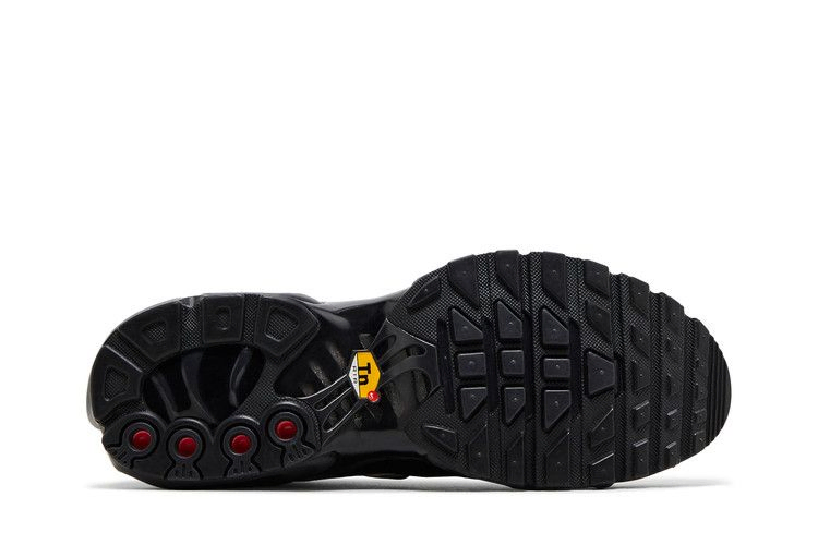 Кроссовки Nike Wmns Air Max Plus SE 'Black Chrome Silver'
