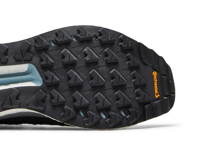 Кроссовки Adidas Wmns Terrex Free Hiker 'Carbon'