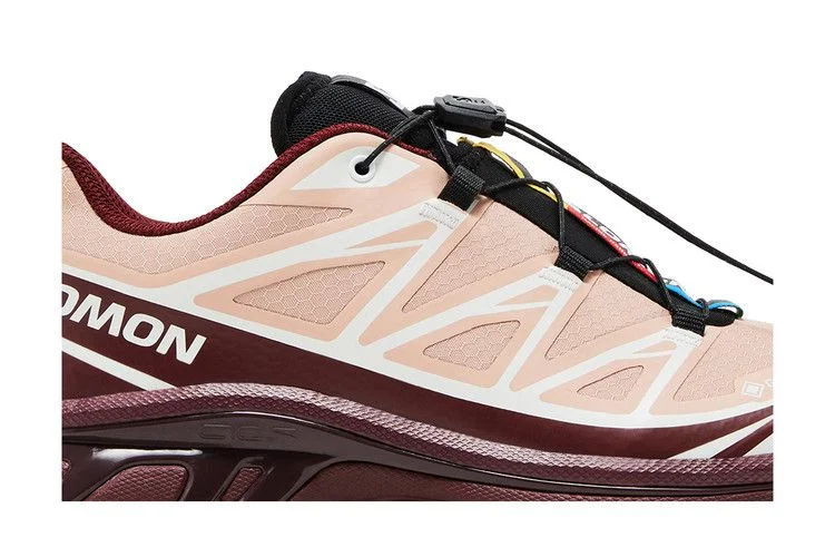 Krossovki-Salomon-XT-6-GORE-TEX-Mahogany-Rose-1
