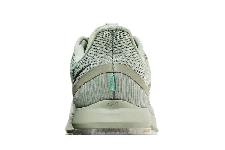 Кроссовки Nike Pegasus Premium 'Jade Horizon'