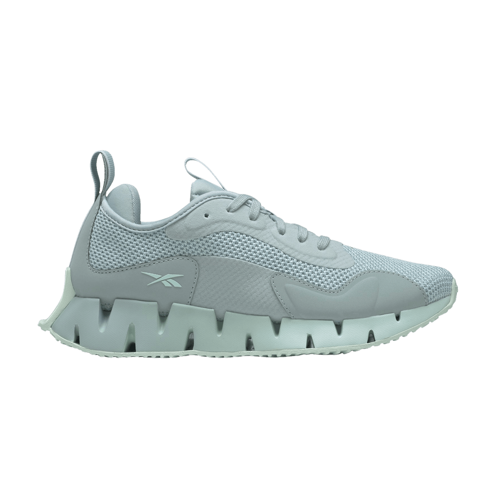 Кроссовки Reebok Wmns Zig Dynamica 'Seaside Grey Mist'