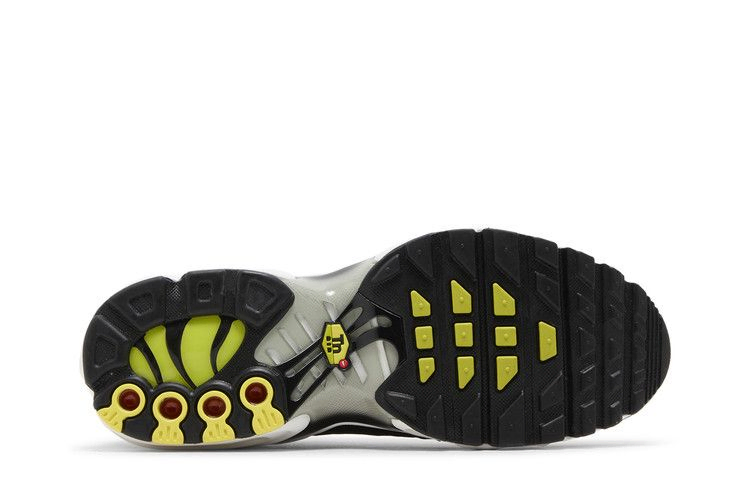 Кроссовки Nike Air Max Plus GS 'Black Bright Cactus'
