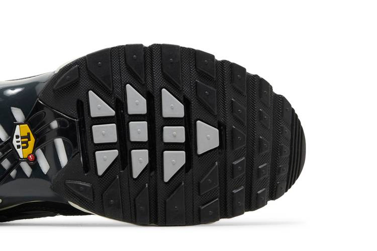 Кроссовки Nike Air Max Plus SE 'Iron Grey'