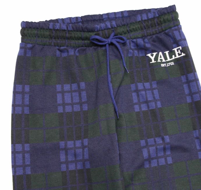 Спортивные штаны 2019 YALE Scotland Blue Pants