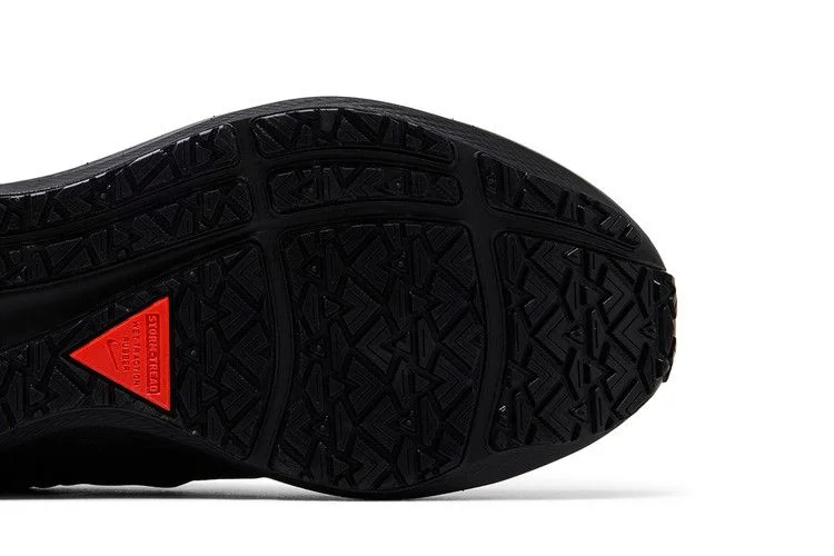 Кроссовки Nike Wmns Air Zoom Pegasus 39 Shield 'Triple Black'