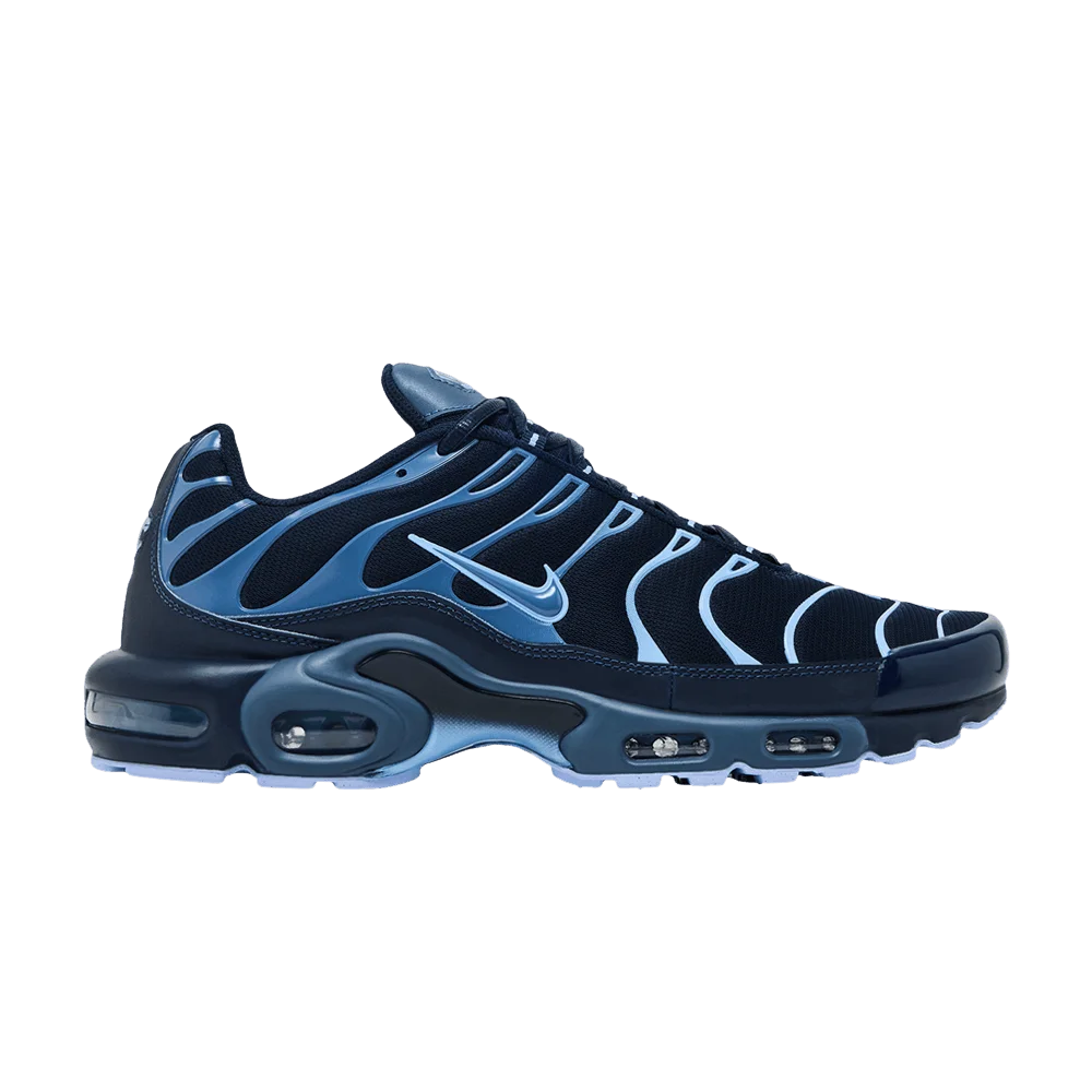 Krossovki-Nike-Air-Max-Plus-Obsidian-Aluminum