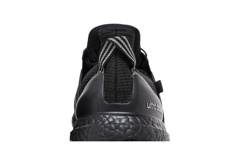 Кроссовки Adidas UltraBoost 1.0 GORE-TEX 'Underground'