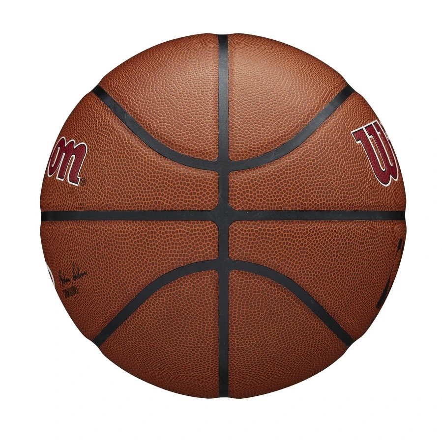 Wilson Miami Heat Team Alliance NBA Basketball