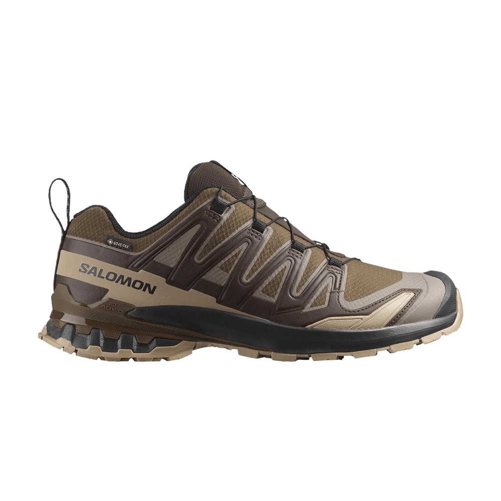 Кроссовки Salomon XA Pro 3D V9 GORE-TEX 'Dark Earth'